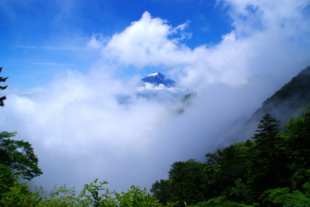 Breathtaking Mountain Landscape HD Wallpaper: Snow-Capped Peaks & Forests