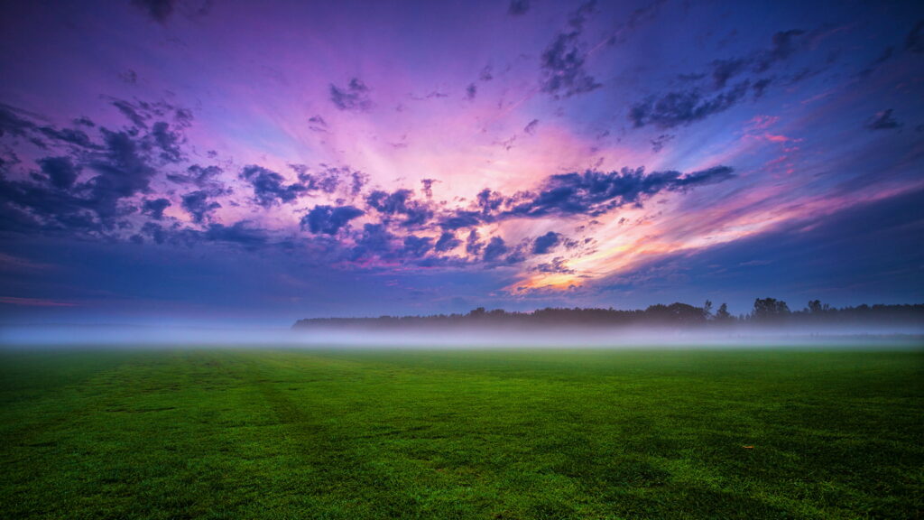 Enchanting HD Wallpaper: Lush Green Field with Mystical Fog at Sunset