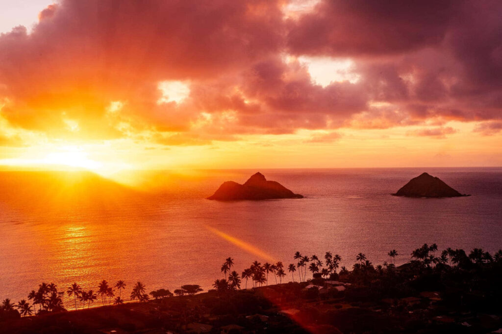 Stunning Hawaiian Sunset Wallpaper with Palm Trees and Ocean View