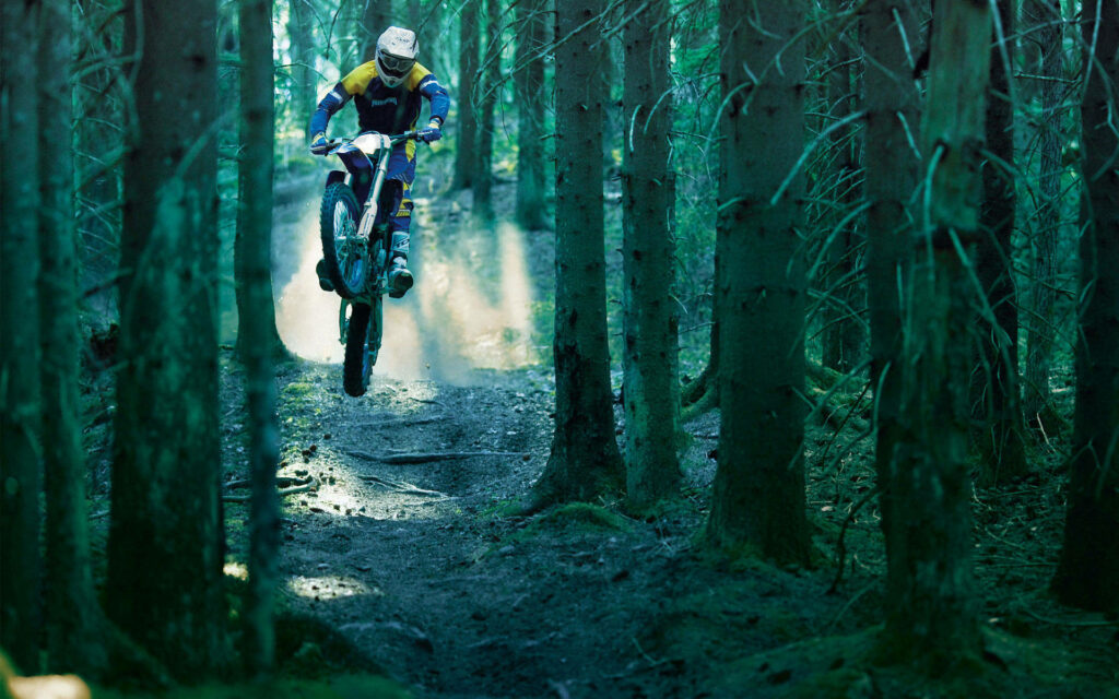 Thrilling Motocross Wallpaper: Rider Jumping in Sunlit Forest