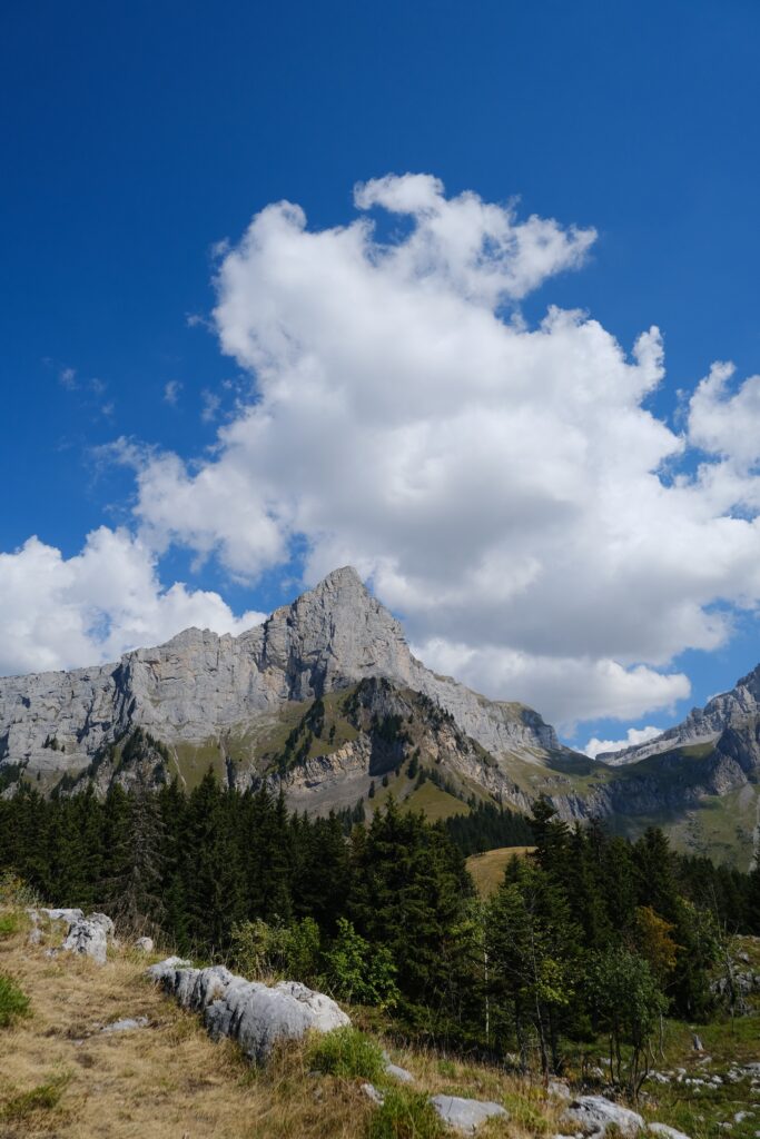 Breathtaking mountain landscape with rugged rocks grassy slope green trees and blue sky clouds Wallpaper