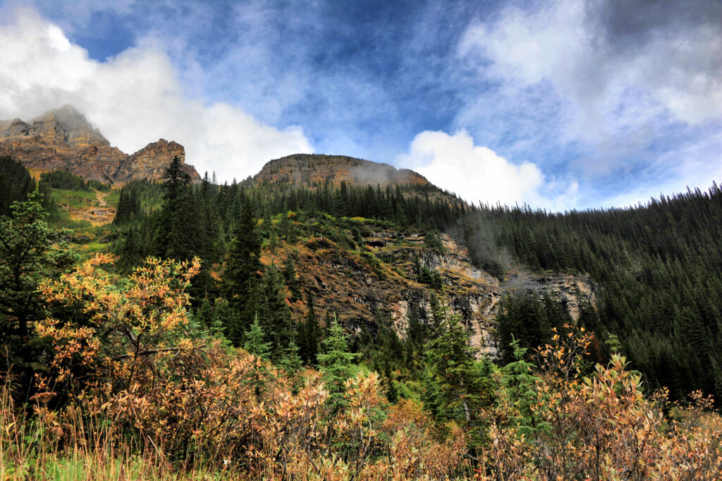 Mountain slope with rugged rocks dense spruce trees and vibrant blue sky with drifting clouds Wallpaper