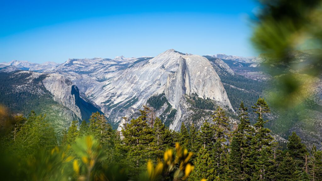 Mountain landscape with rugged cliffs and dense green pine trees under a clear blue sky wallpaper