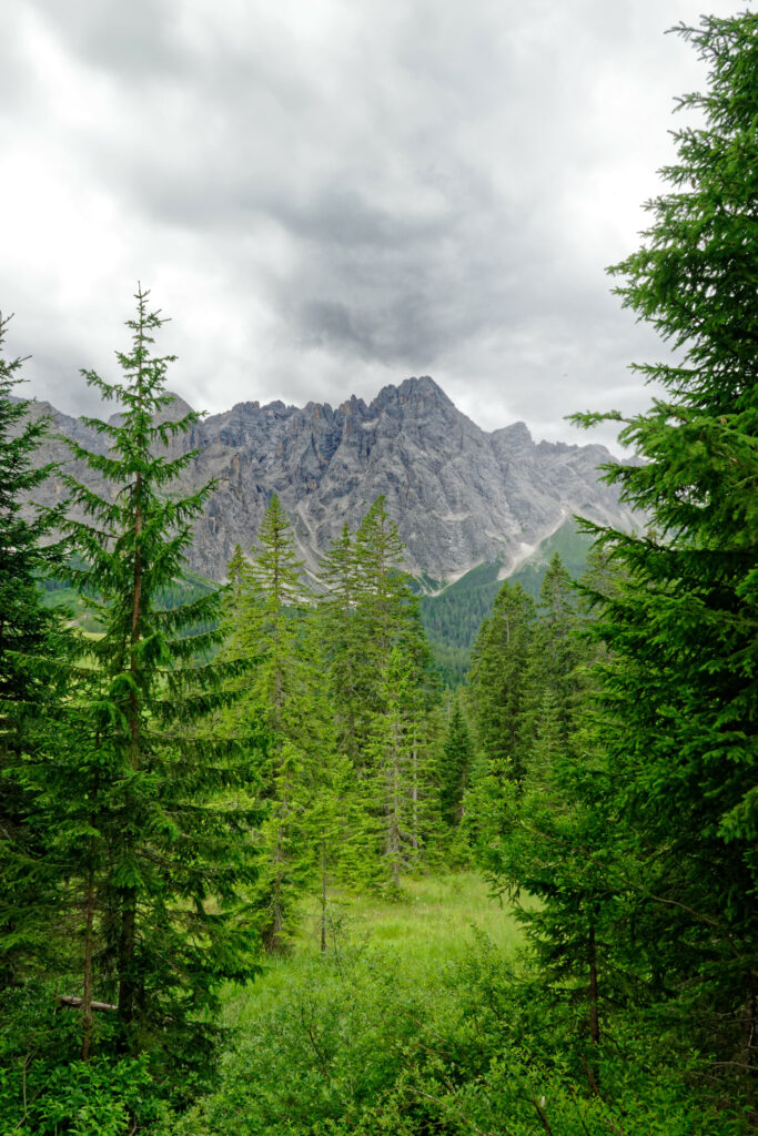 Breathtaking mountain landscape with rugged peaks dense evergreen forests and cloudy sky wallpaper