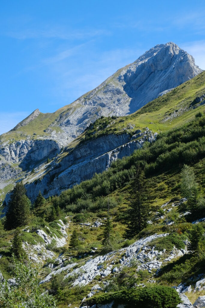 Breathtaking mountain landscape with rocky peaks lush green trees and clear blue sky wallpaper