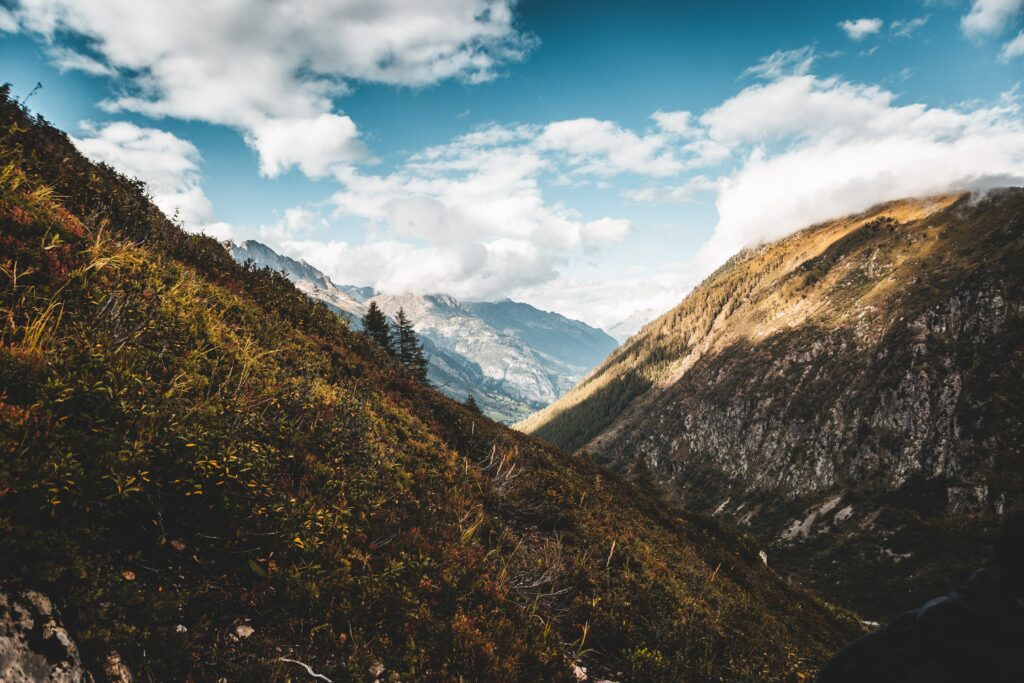 Mountain slope with lush trees opening to serene valley under vivid blue sky with clouds wallpaper