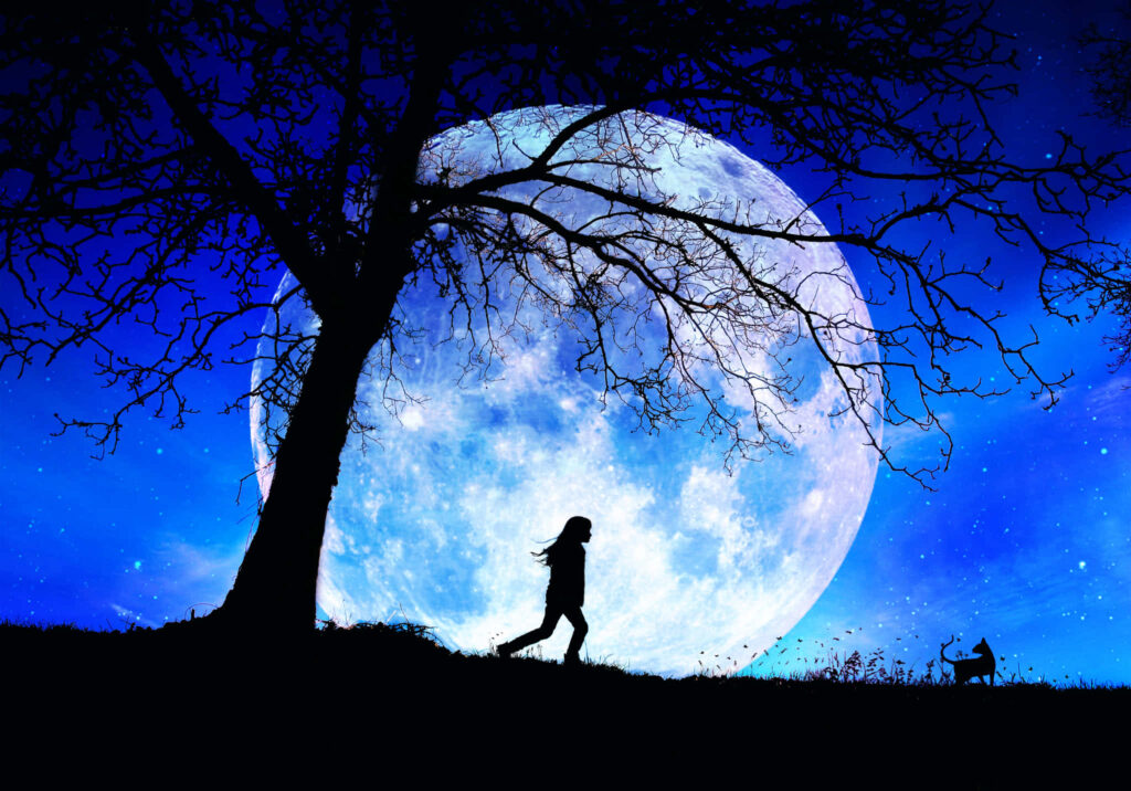 Serene Night Sky Wallpaper: Full Moon, Silhouetted Tree & Strolling Figure