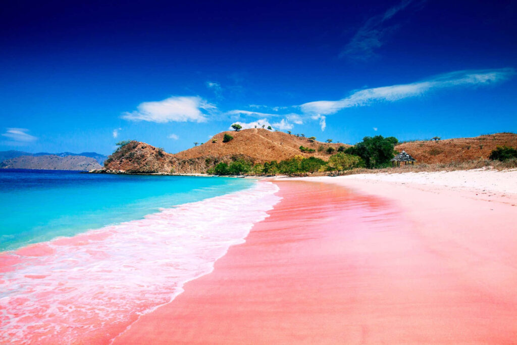 Breathtaking Pink Sand Beach Wallpaper: Tropical Paradise Background