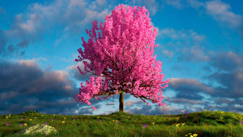 Vibrant Pink Tree in Lush Green Field - Scenic Wallpaper Background