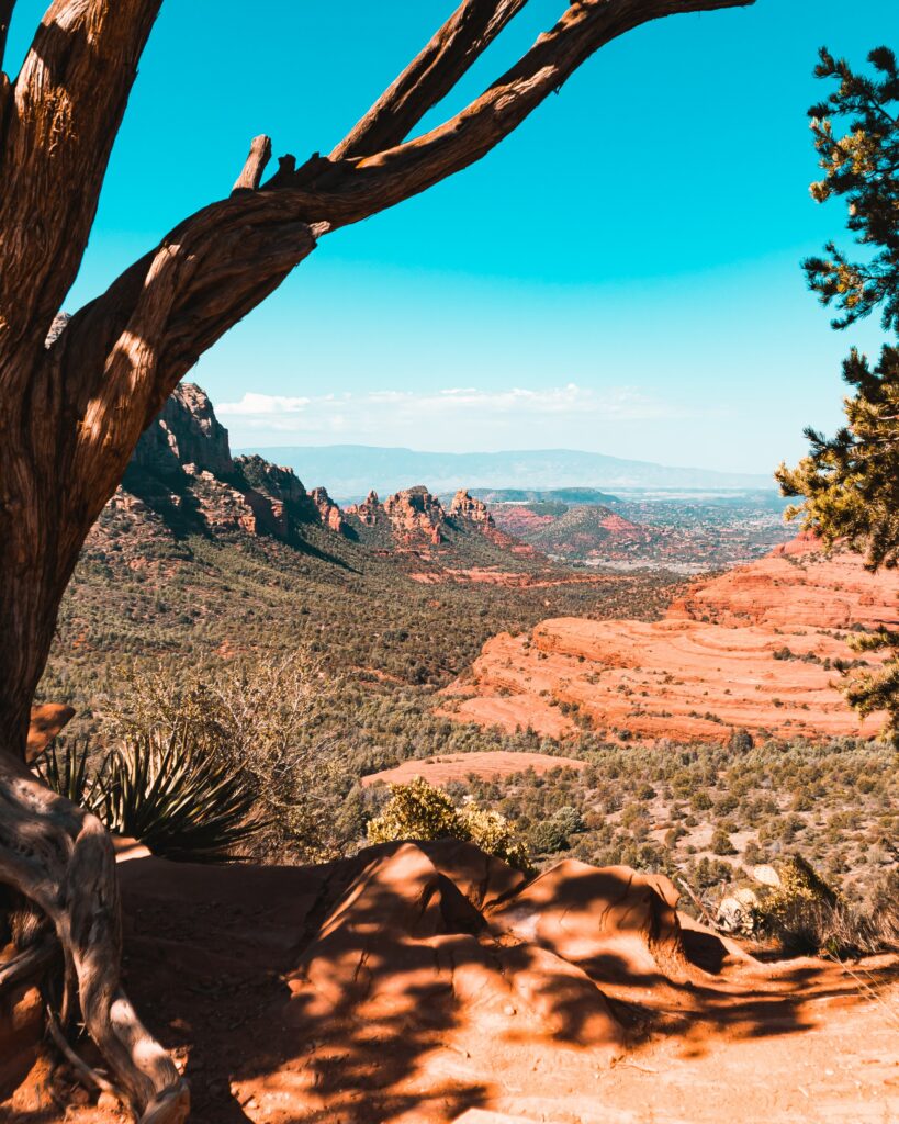 Breathtaking canyon landscape with red rocks green trees and clear blue sky wallpaper background