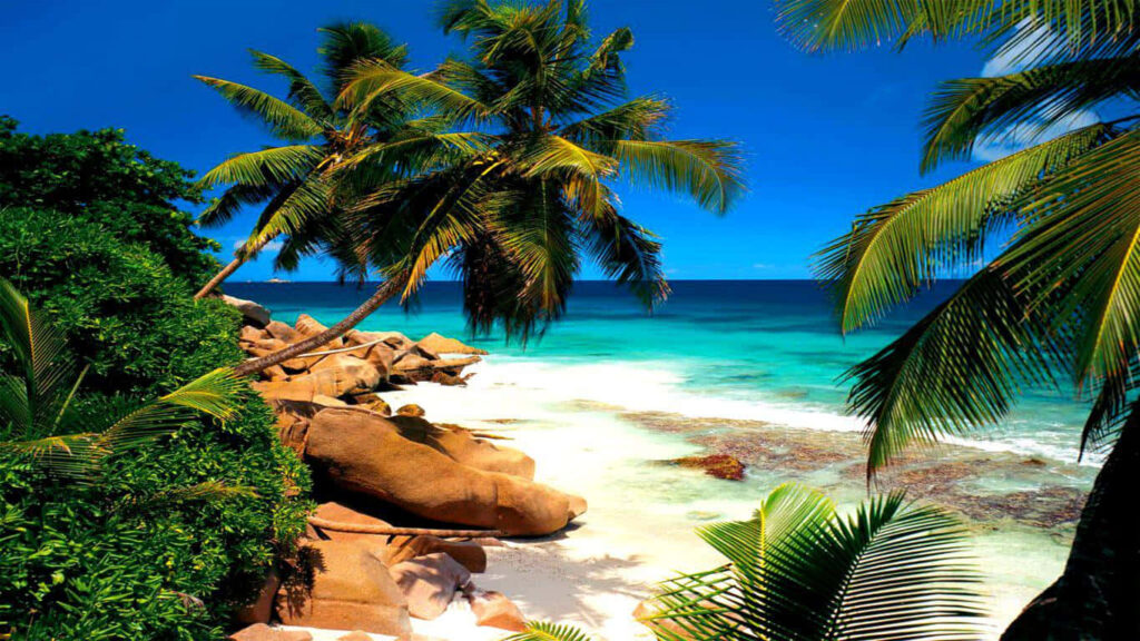 Tropical Paradise Wallpaper: Seychelles Beach with Turquoise Waters