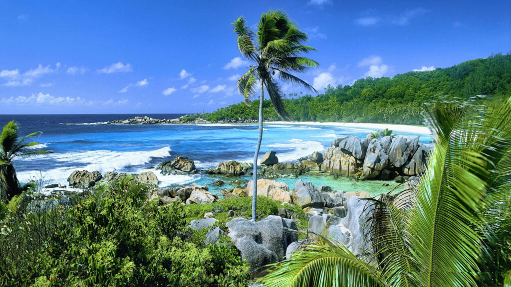 Pristine Seychelles Beach: Turquoise Waters & Lush Green Paradise Wallpaper