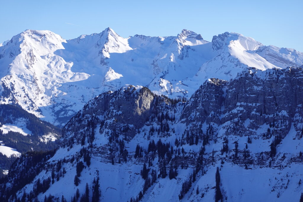 Snow-covered mountain peaks with dark pine trees under clear blue sky wallpaper background