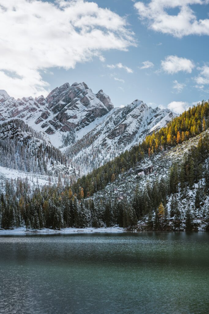 Snow-covered mountain peaks rocky slopes dense forest and calm sea under clear blue sky wallpaper