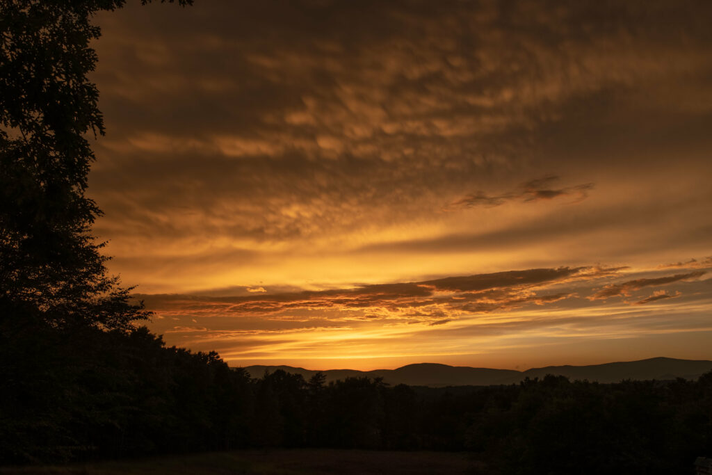 Sunset over rolling hills with tree silhouettes vibrant orange and gold sky nature wallpaper