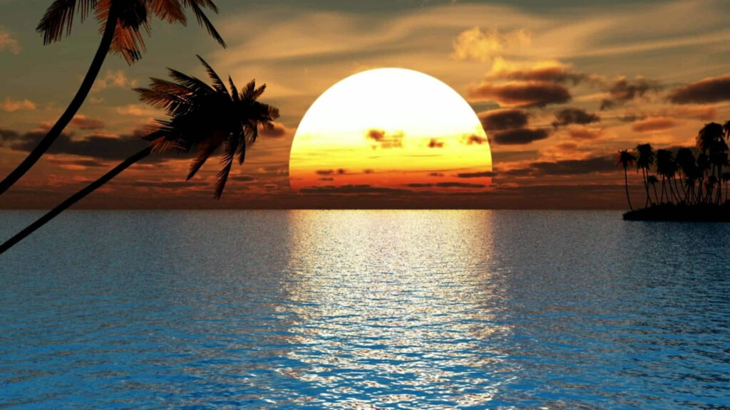 Tropical Sunset Wallpaper: Serene Ocean View with Palm Silhouettes