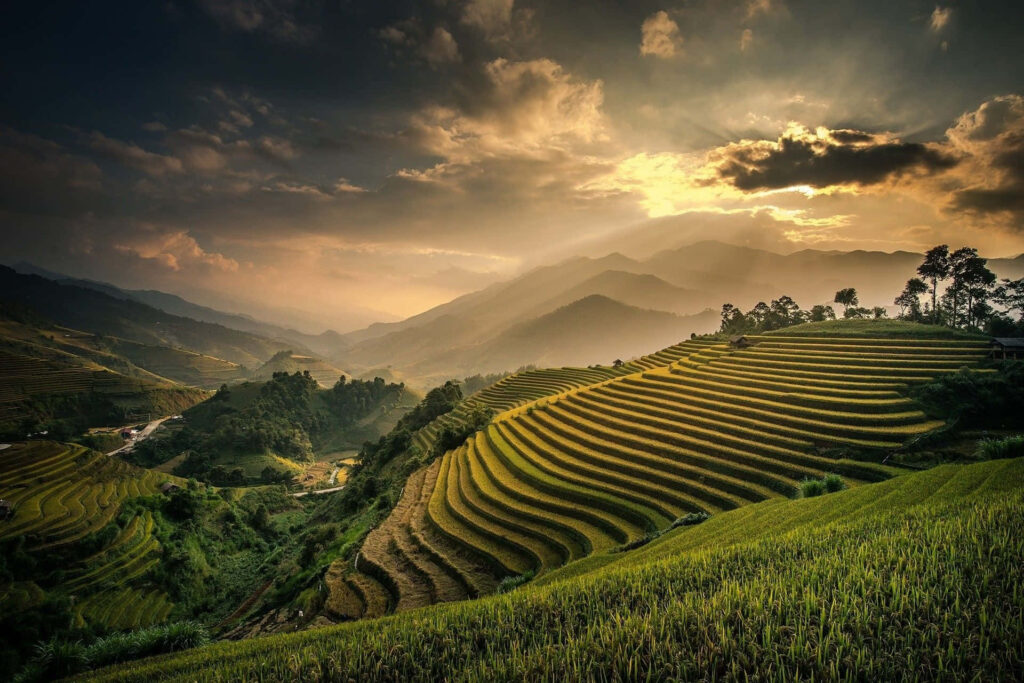 Breathtaking Terraced Fields at Sunset - Serene Landscape Background Wallpaper