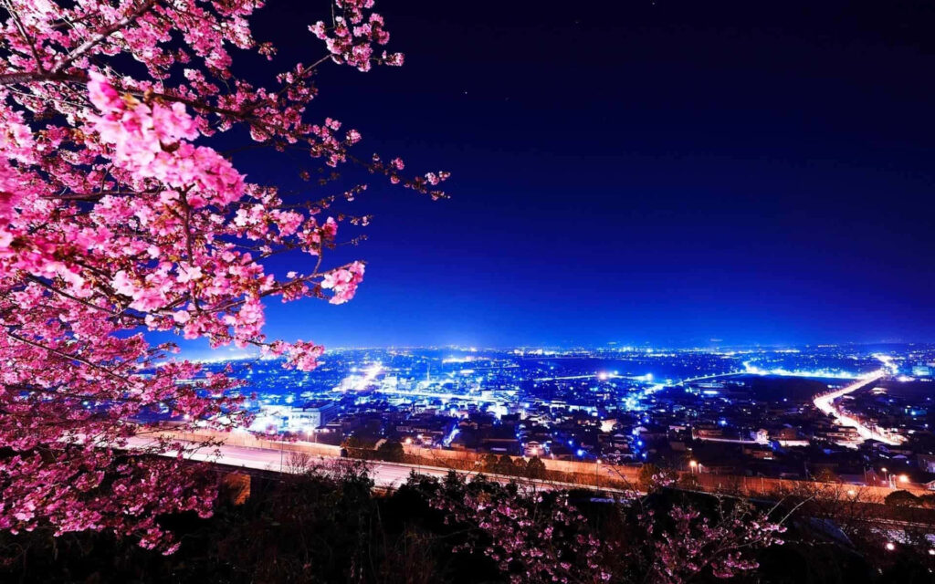Stunning Tokyo Night: Sakura Blossoms & City Lights Wallpaper