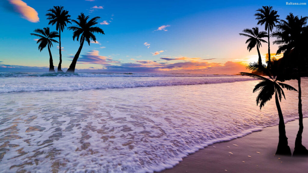 Tropical Beach Sunset Wallpaper: Serene Palm Trees & Vibrant Skies