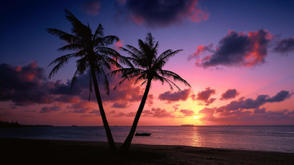 Tropical Beach Sunset Wallpaper: Vibrant Hues & Palm Tree Silhouettes