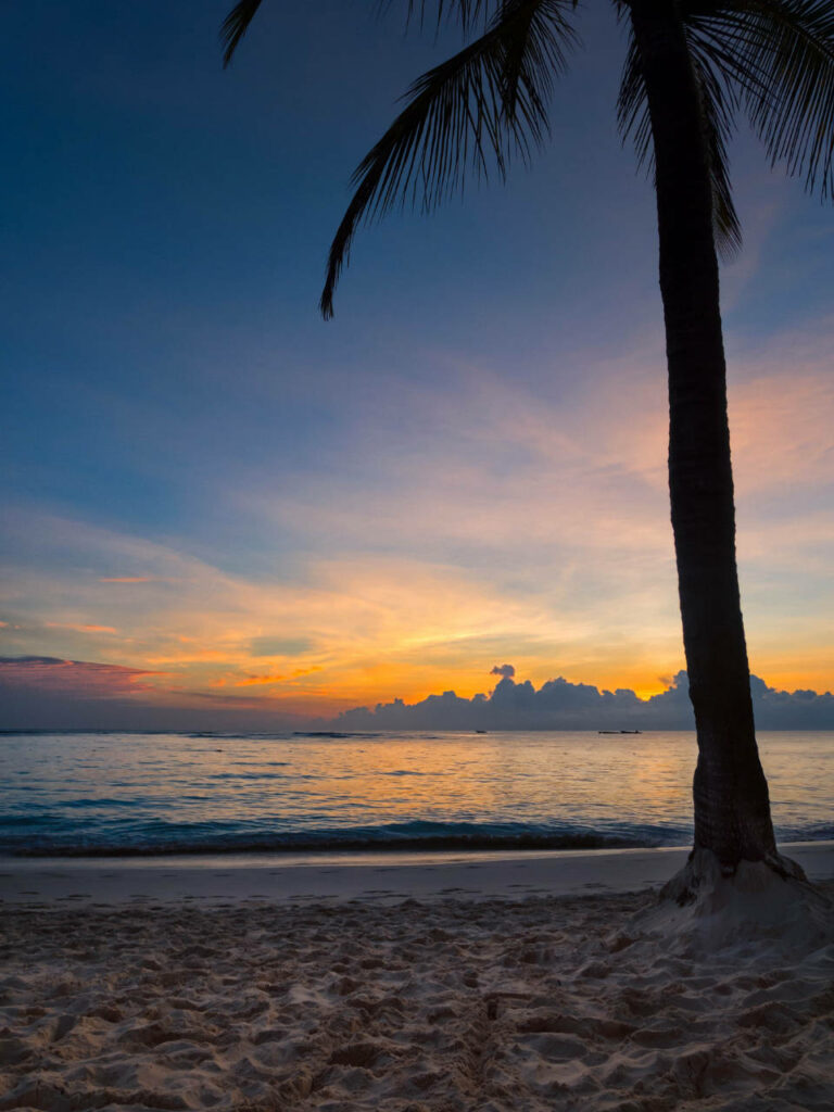 Breathtaking Tropical Beach Sunset with Silhouetted Palm Tree Wallpaper