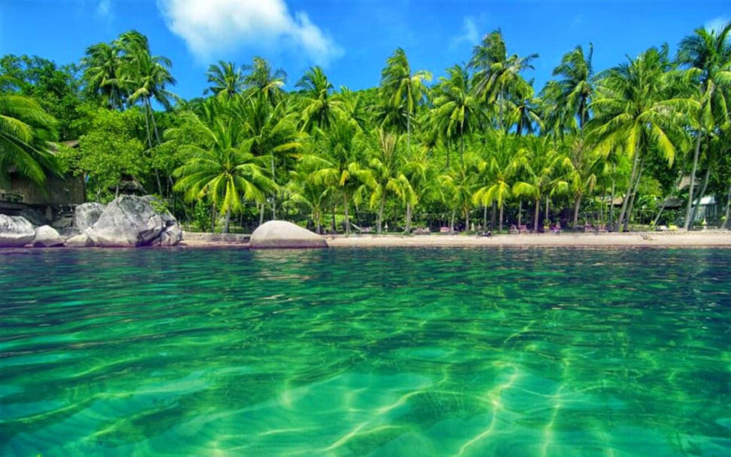 Tropical Island Wallpaper: Crystal-Clear Waters & Lush Palm Shores