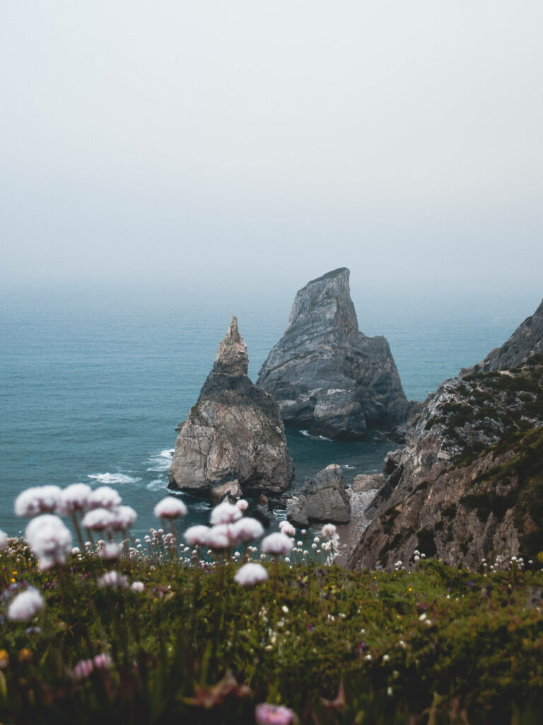 Breathtaking Ursa Beach: Dramatic Cliffs & Wildflowers Wallpaper