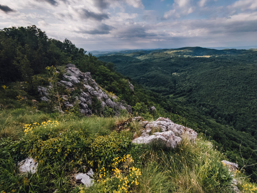 Breathtaking valley view with rugged stones yellow wildflowers green hills and dramatic clouds wallpaper