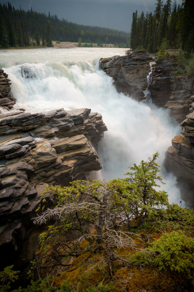 Breathtaking waterfall cascading rugged rocks with rushing stream through dense evergreen forest Wallpaper