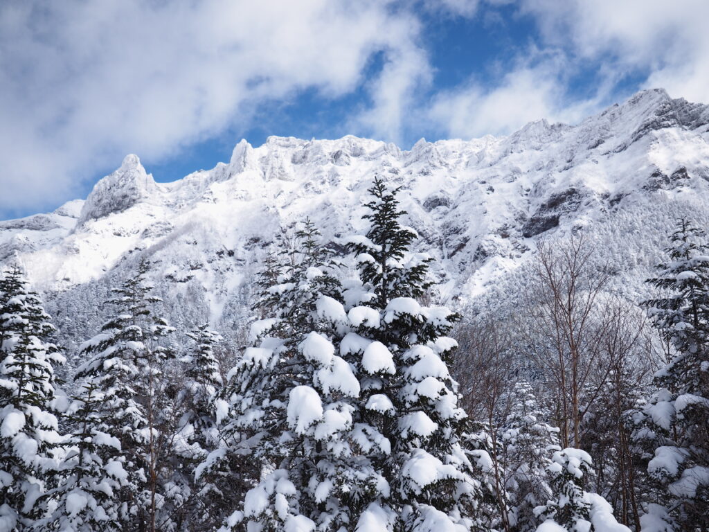 Snow-covered mountains and frosted evergreens under a vibrant blue sky winter landscape wallpaper