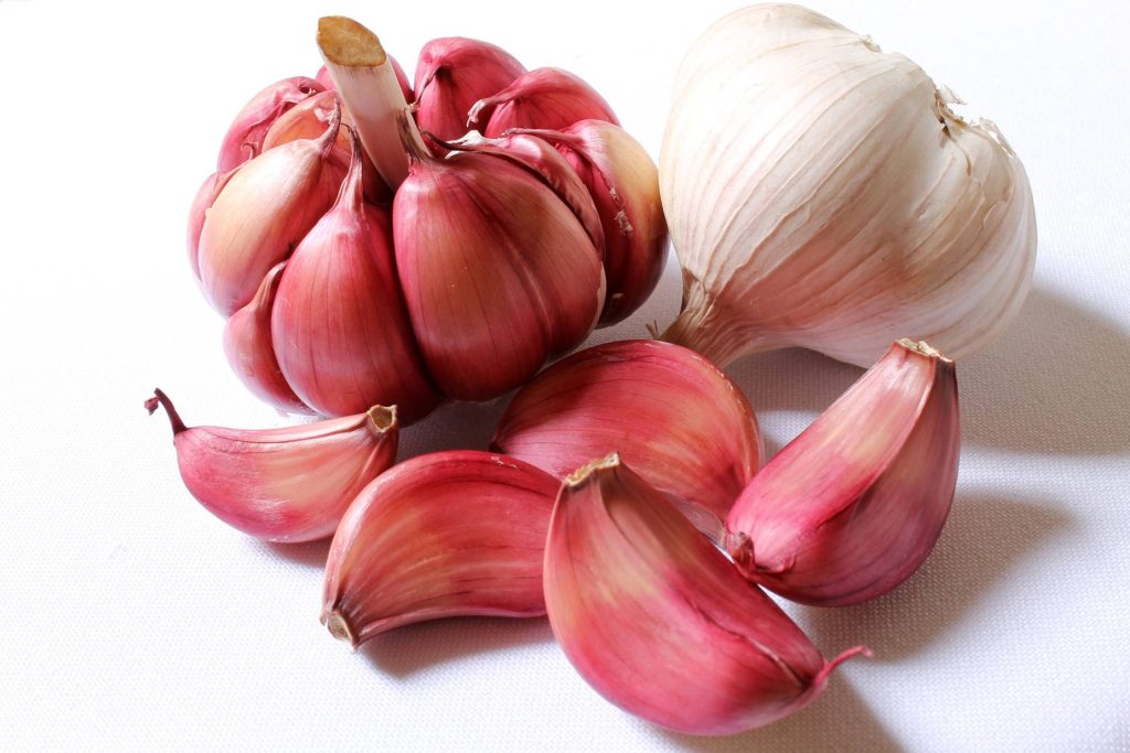 White and red garlic bulbs with scattered cloves on clean white background food wallpaper