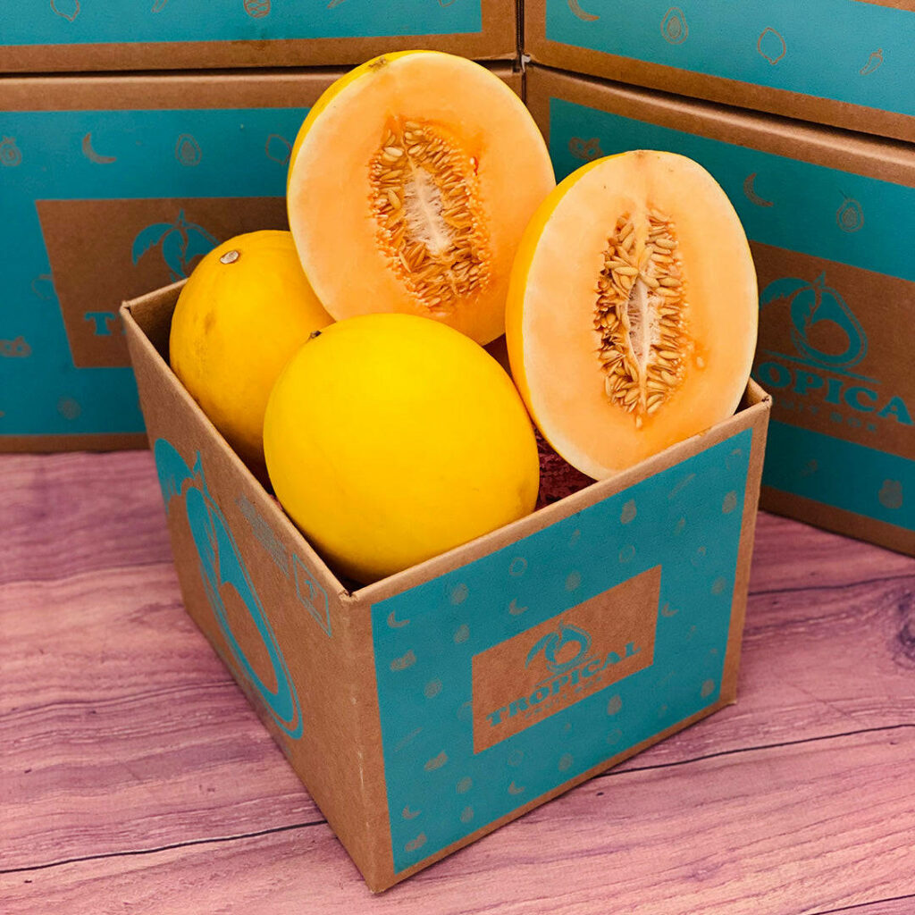 Bright yellow canary melons in turquoise brown box on rustic wood bright tropical wallpaper background