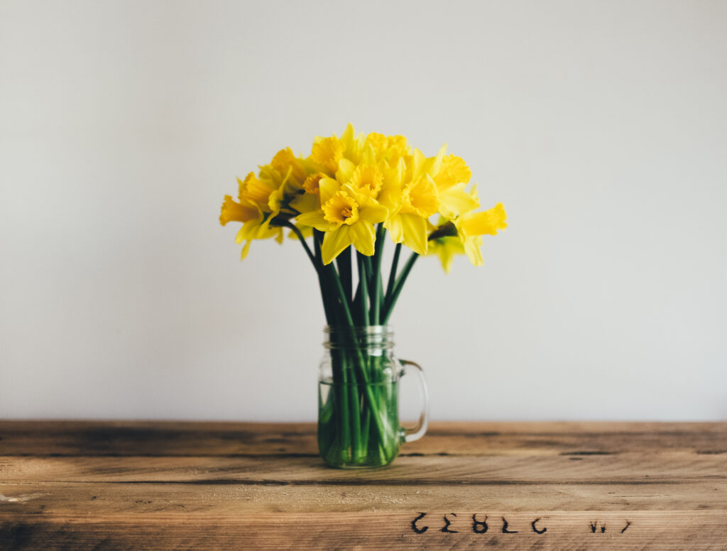 Bright Yellow Daffodils in a Clear Vase - Cheerful Wallpaper