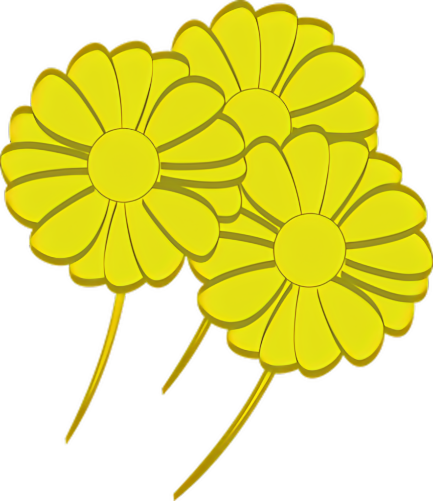 Bright Yellow Daisies Vector Wallpaper on Transparent Background