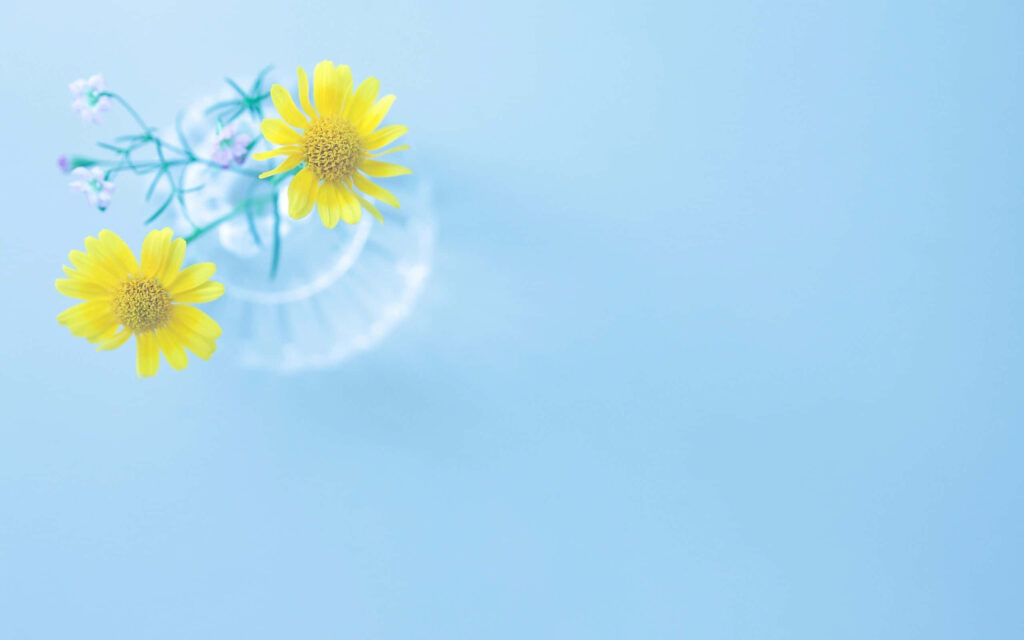 Bright Yellow Flower Wallpaper on Soft Blue Background - Minimalist Design