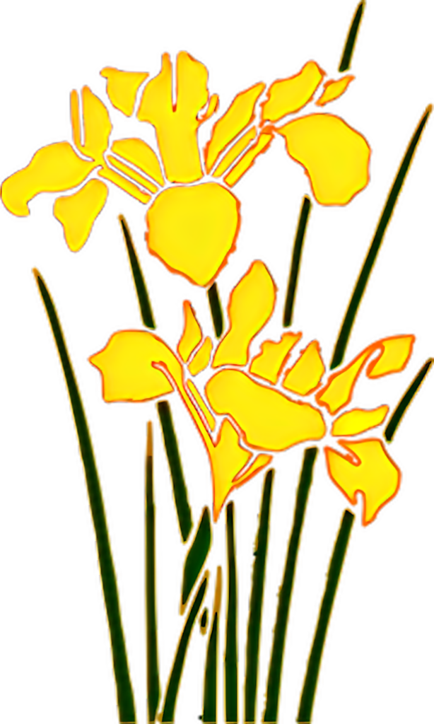 Stylized Yellow Irises Wallpaper - Modern Floral Graphic Design