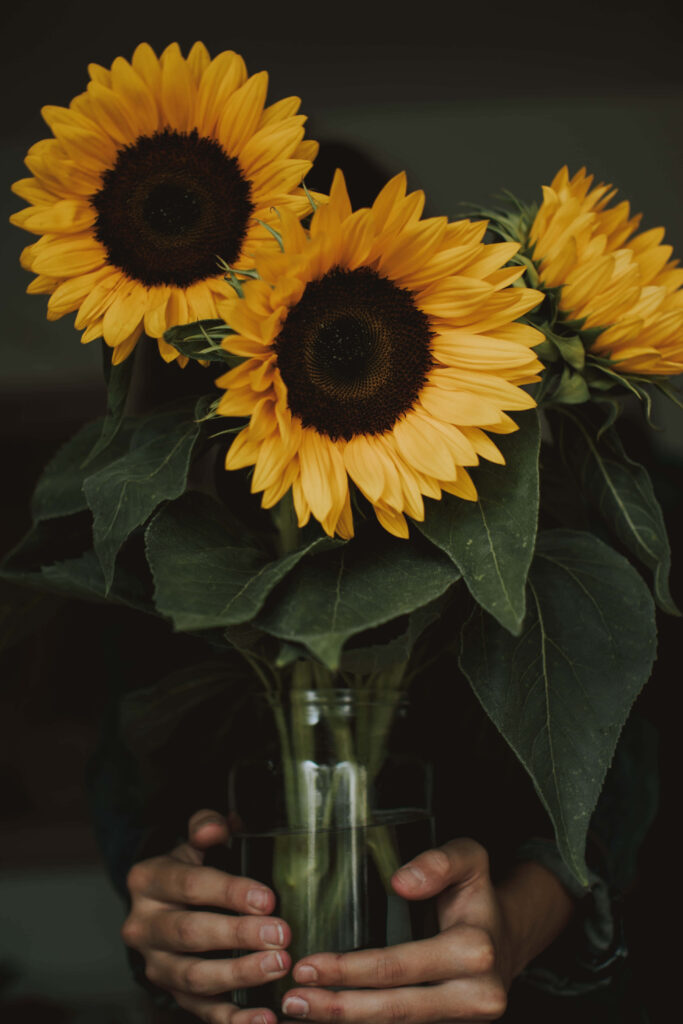 Vibrant Sunflower Wallpaper: Bright Yellow Blooms & Lush Greens