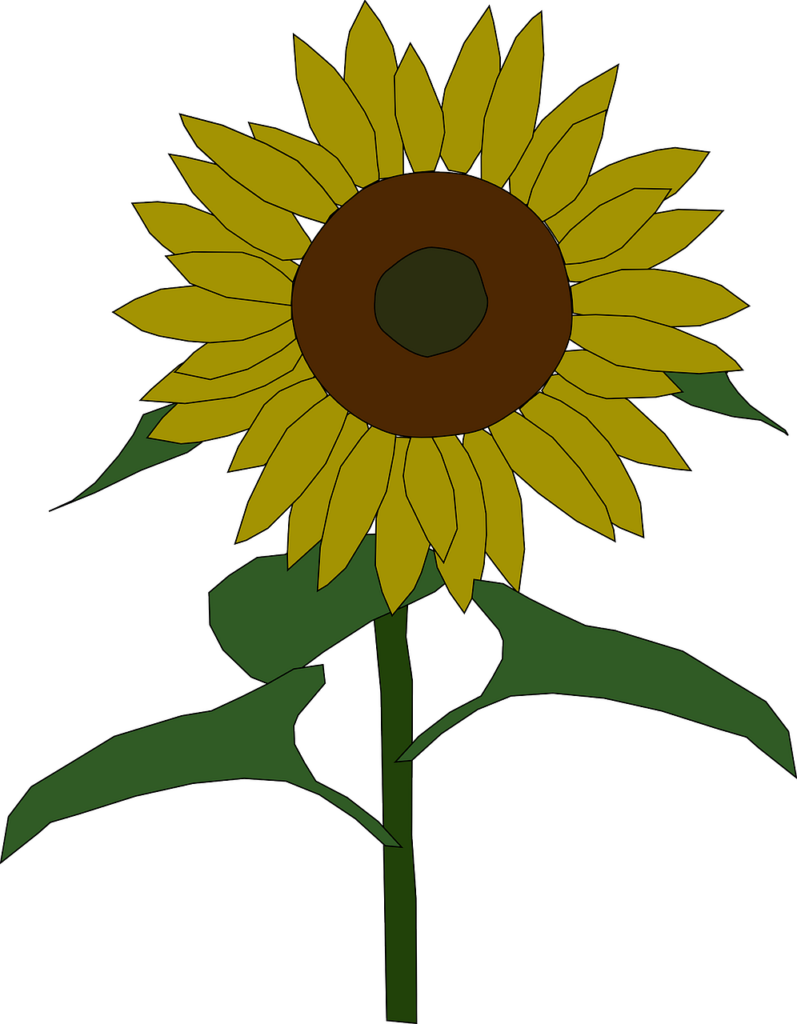 Bright Yellow Sunflower Illustration on Transparent Background Wallpaper
