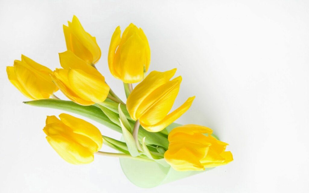 Bright Yellow Tulip Bouquet Wallpaper - Fresh Spring Vibes