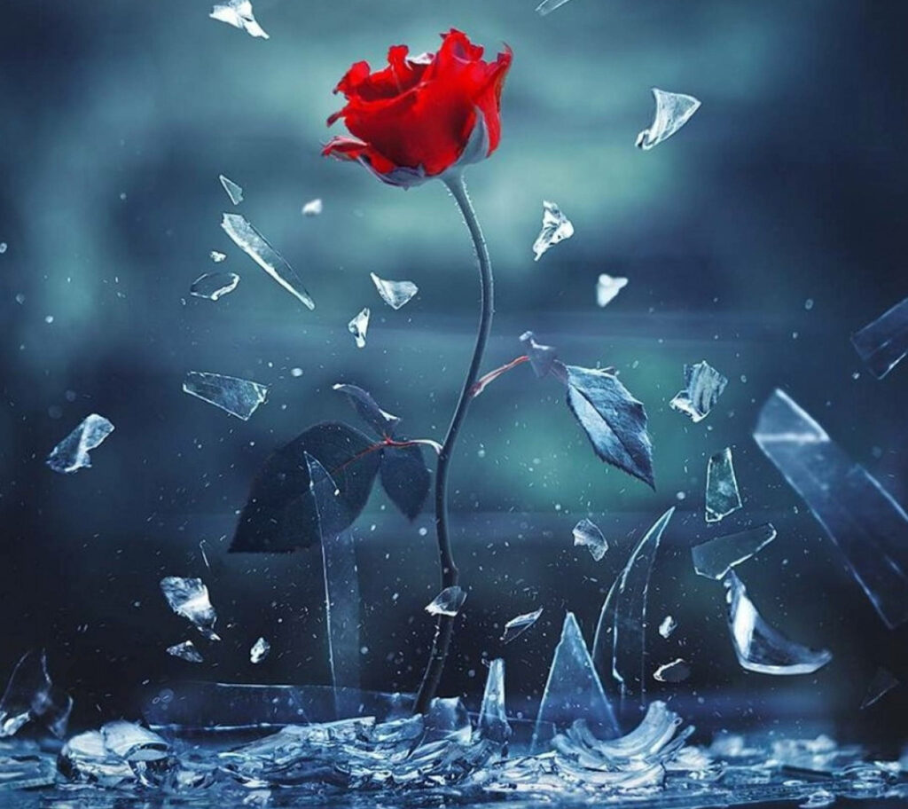 Broken glass vase wallpaper with vibrant red rose against dramatic blue background shattering