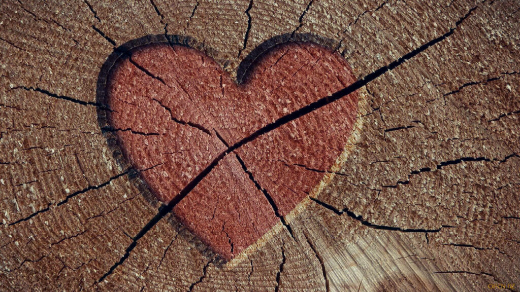 Broken heart cracked in rustic tree stump rings textured brown and deep red emotional wallpaper
