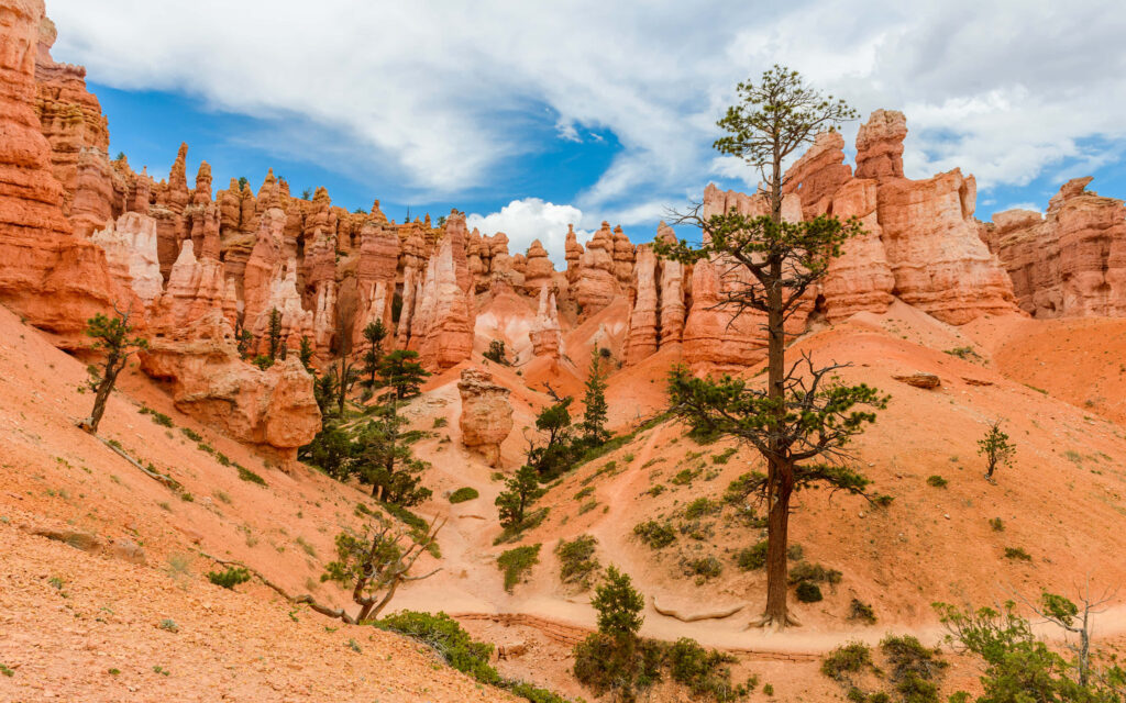 Bryce Canyon National Park orange spire rock formations under vibrant blue sky with clouds wallpaper