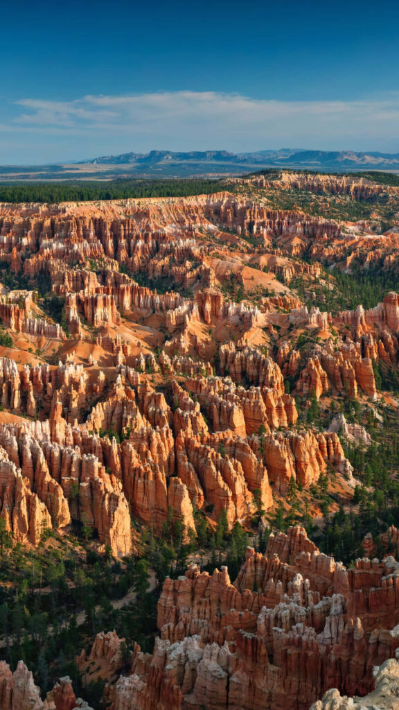 Bryce Canyon National Park vibrant orange red hoodoos green pine trees landscape blue sky wallpaper