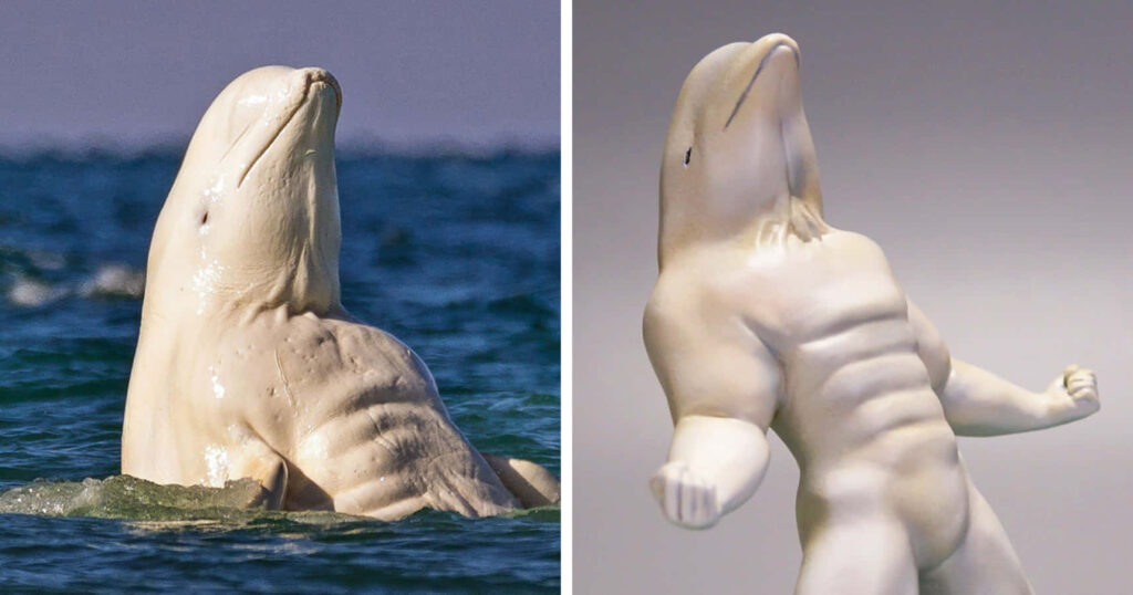 Humorous Dolphin Wallpaper: Buff Dolphin Design with Comical Twist