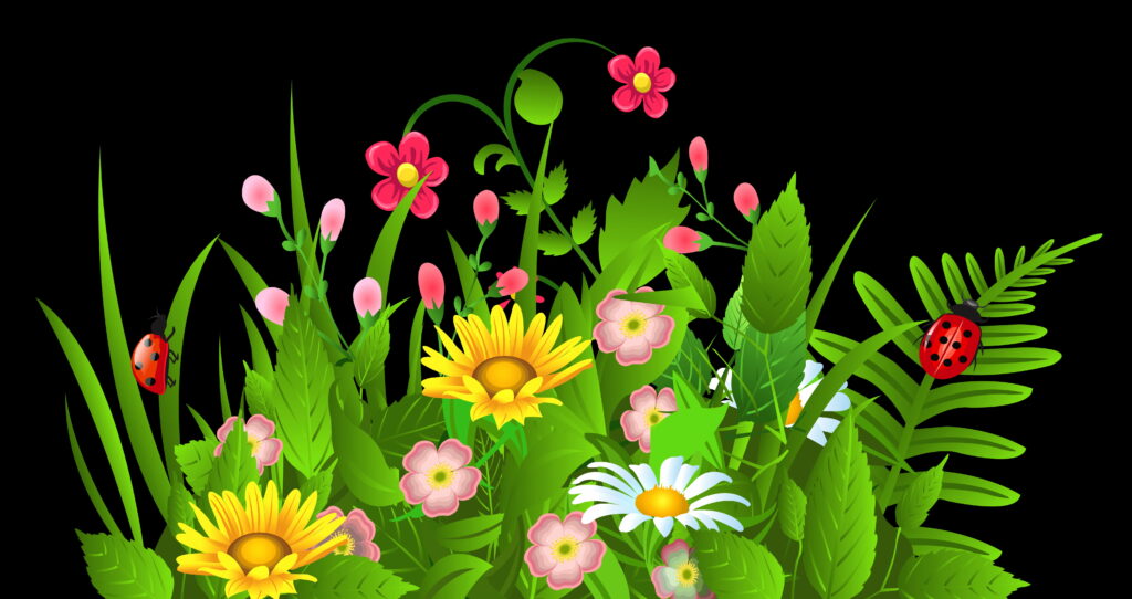 Vibrant spring garden vector with daisies wildflowers ferns and two red ladybugs on black background Wallpaper
