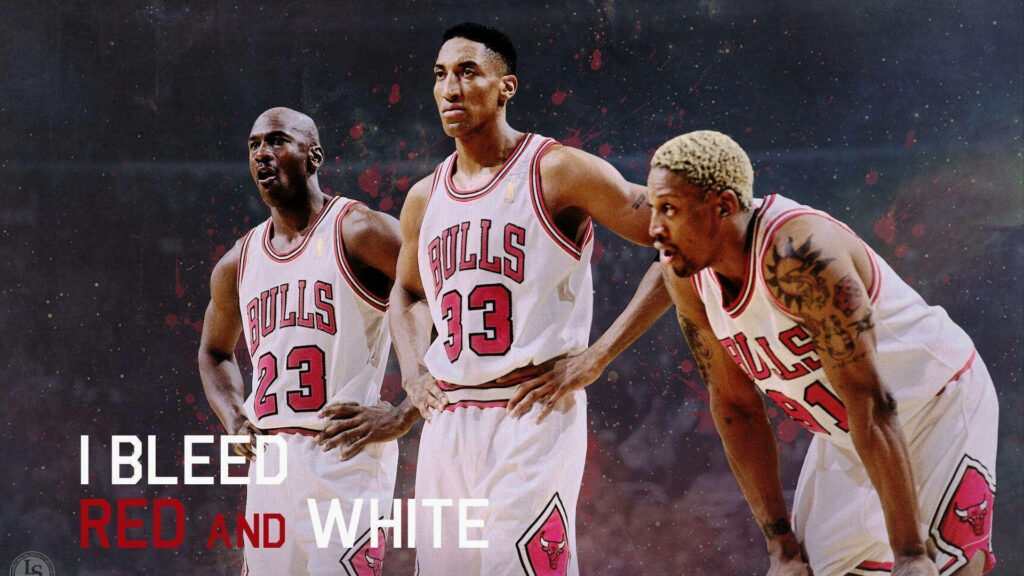 Bulls Dynasty: Legends Embracing Team Spirit Wallpaper
