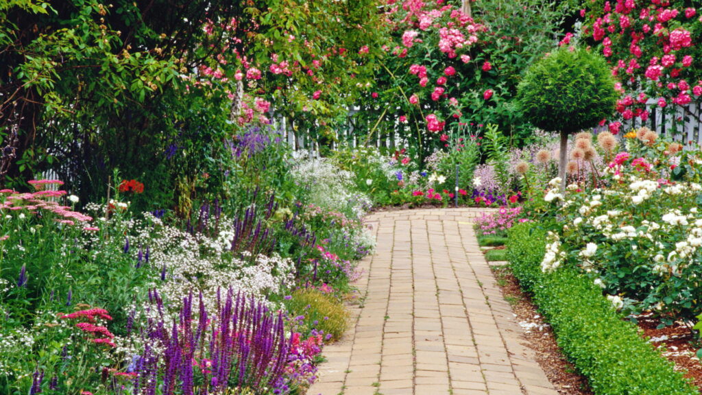 Blooming Path: Vibrant Spring Garden's HD Wallpaper