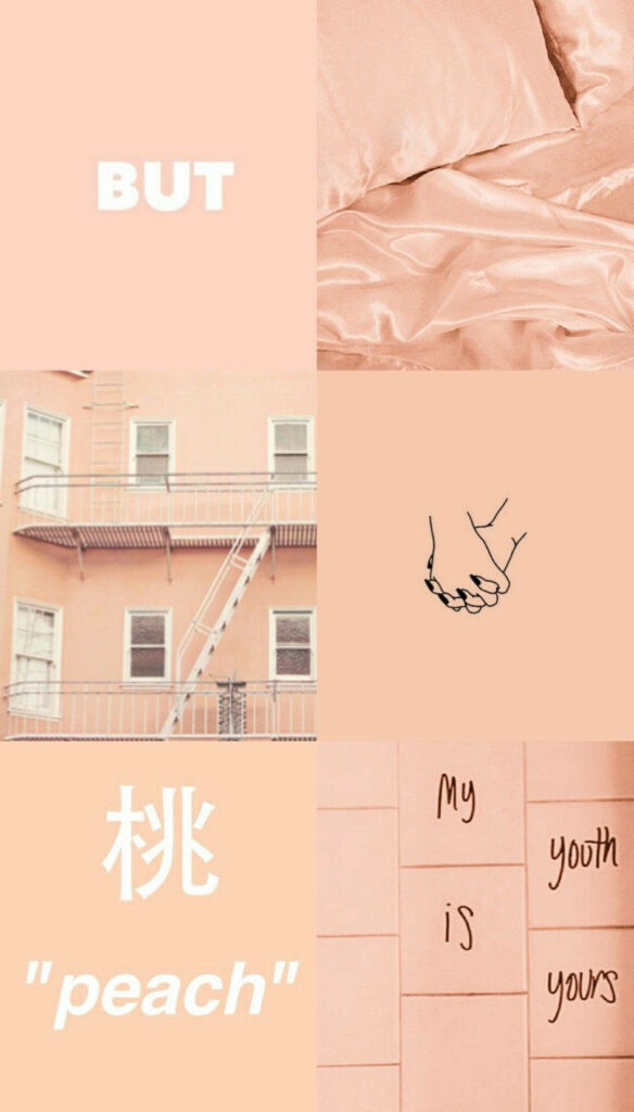 A Peachy Minimalist Wallpaper Masterpiece