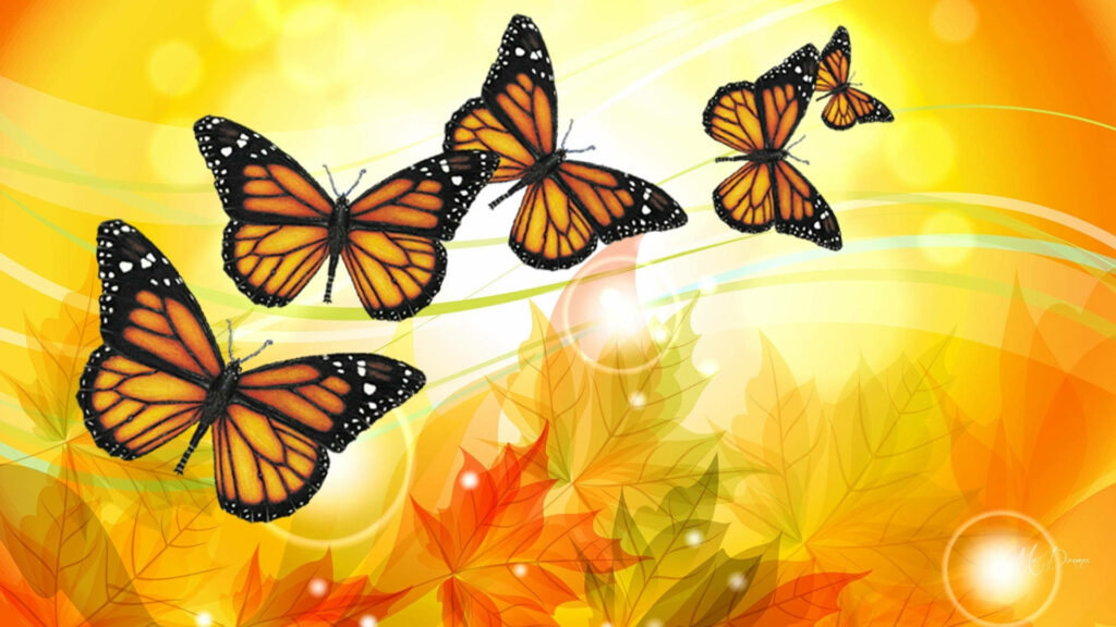 Four Monarch butterflies flying over autumn leaves with glowing yellow sunlit background wallpaper