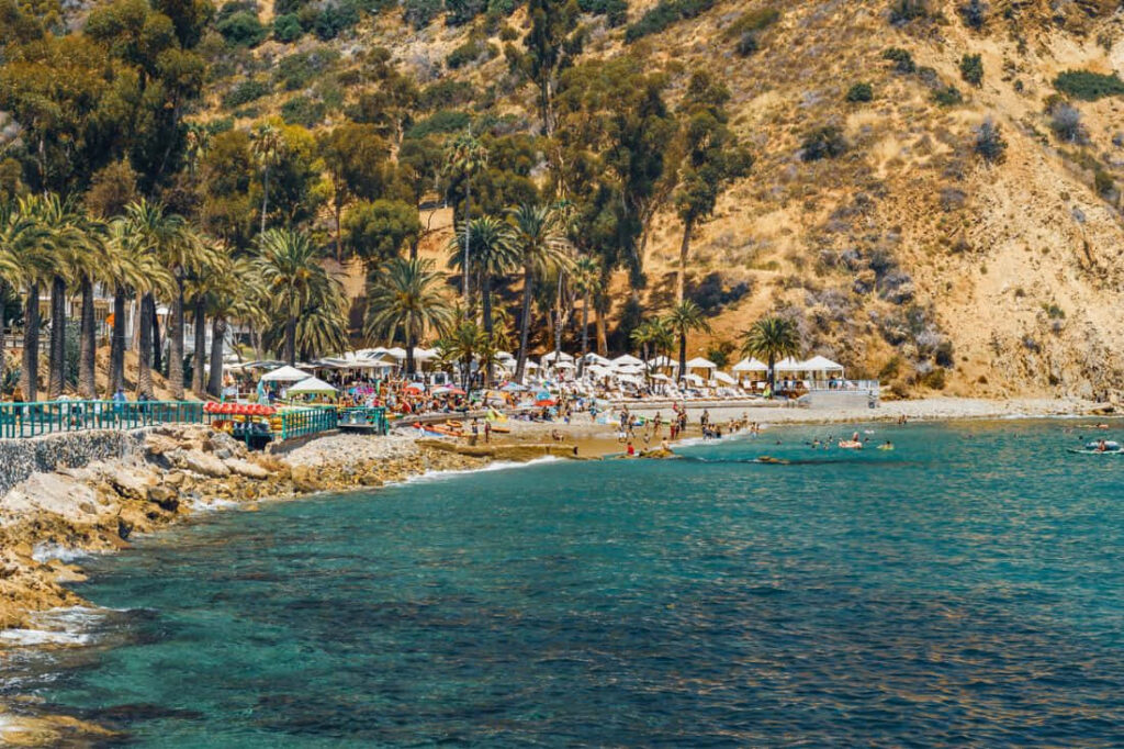California Island Wallpaper: Stunning Beaches & Lush Palm Trees